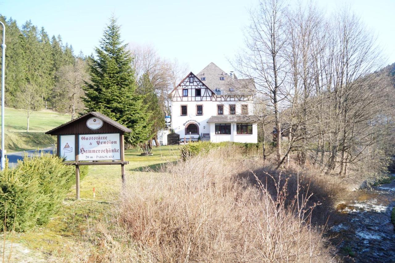 Gasthof Und Pension Hammerschaenke Wildenthal Zewnętrze zdjęcie